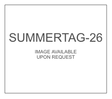 Summerized Tag (SUMMERTAG-26)