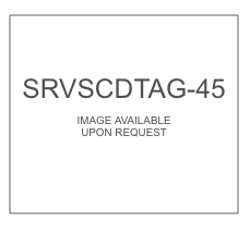 Service SCD Tag (SRVSCDTAG-45)