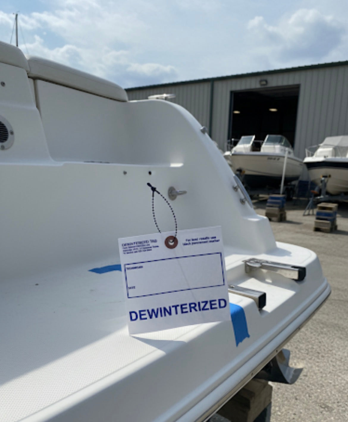 Dewinterized Tag